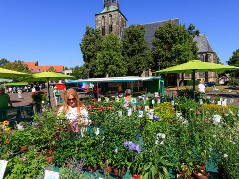 Wochenmarkt Nordhorn